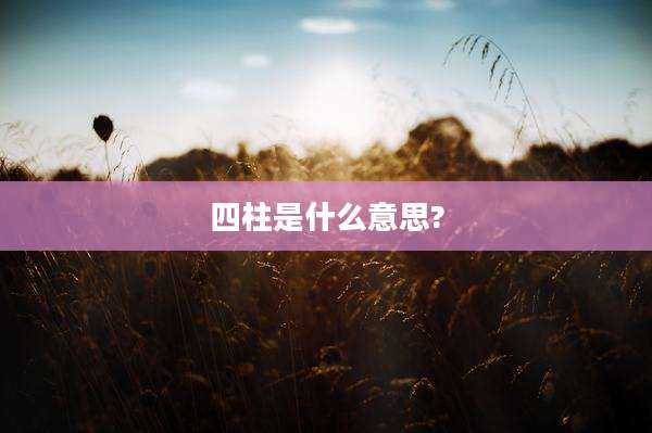 四柱是什么意思?