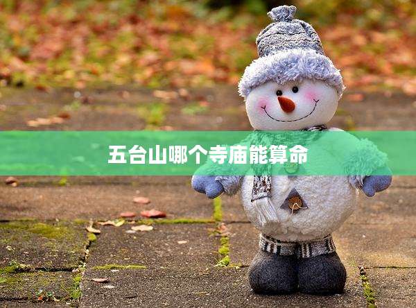 五台山哪个寺庙能算命
