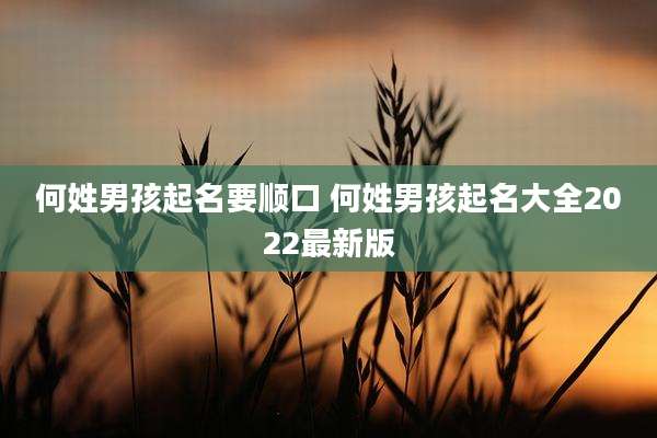 何姓男孩起名要顺口 何姓男孩起名大全2022最新版