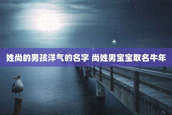 姓尚的男孩洋气的名字 尚姓男宝宝取名牛年