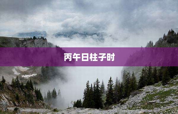 丙午日柱子时