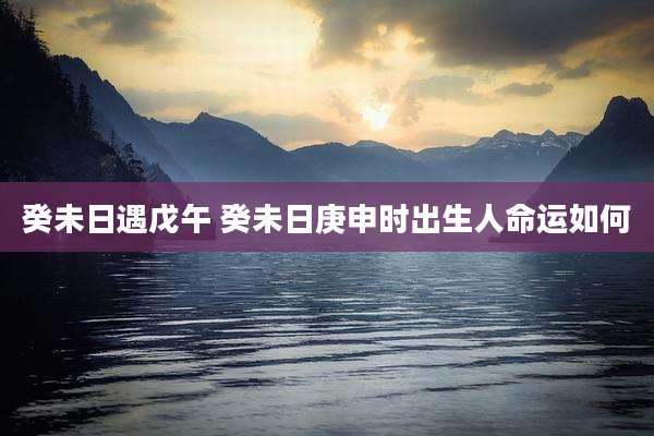 癸未日遇戊午 癸未日庚申时出生人命运如何