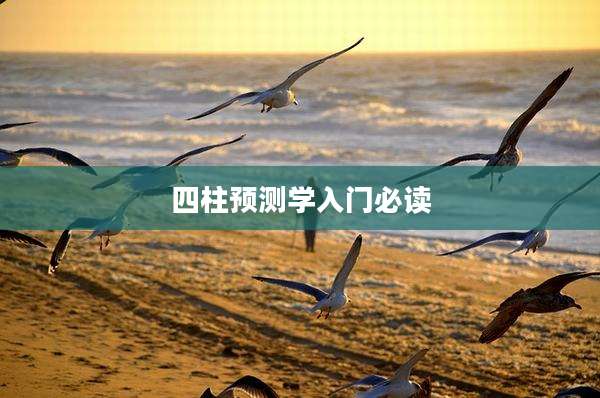 四柱预测学入门必读