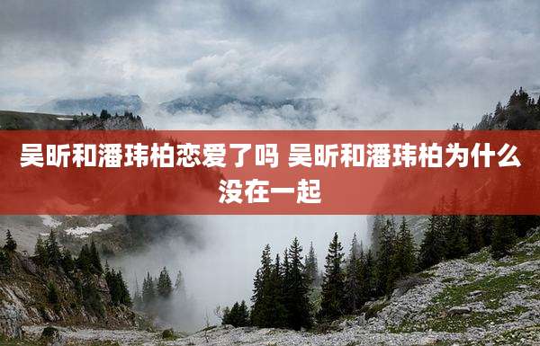 吴昕和潘玮柏恋爱了吗 吴昕和潘玮柏为什么没在一起