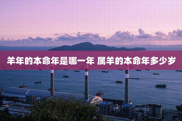羊年的本命年是哪一年 属羊的本命年多少岁