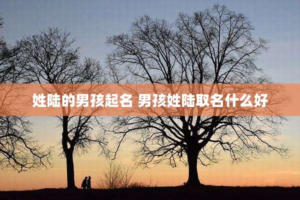 姓陆的男孩起名 男孩姓陆取名什么好