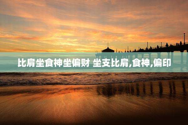 比肩坐食神坐偏财 坐支比肩,食神,偏印