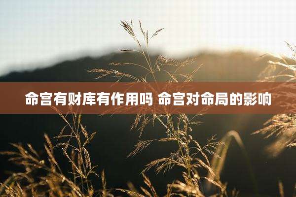 命宫有财库有作用吗 命宫对命局的影响