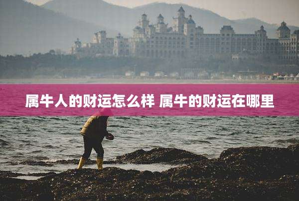 属牛人的财运怎么样 属牛的财运在哪里