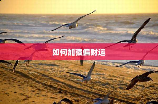 如何加强偏财运