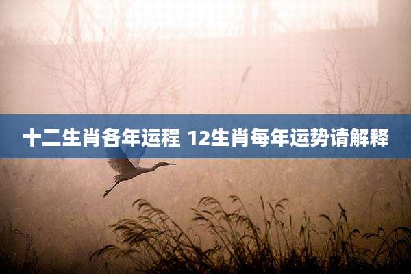 十二生肖各年运程 12生肖每年运势请解释