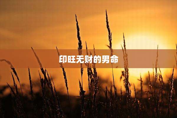 印旺无财的男命