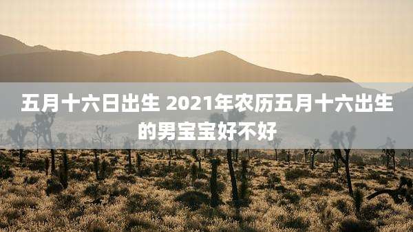 五月十六日出生 2021年农历五月十六出生的男宝宝好不好