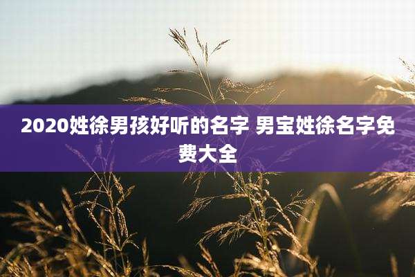 2020姓徐男孩好听的名字 男宝姓徐名字免费大全