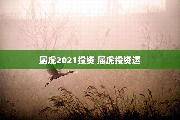 属虎2021投资 属虎投资运