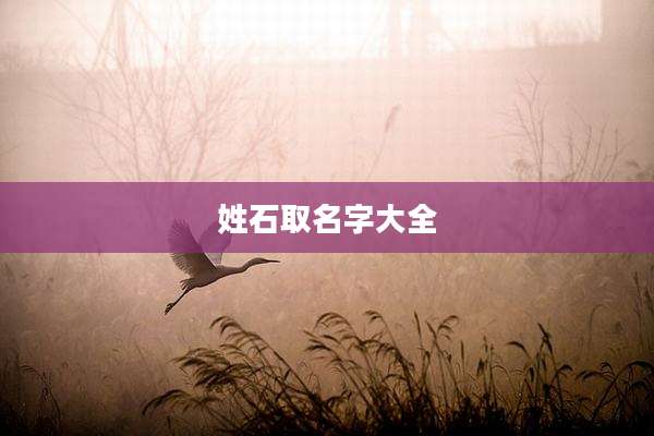 姓石取名字大全