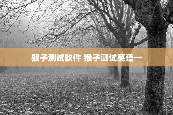猴子测试软件 猴子测试英语一