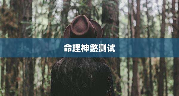 命理神煞测试
