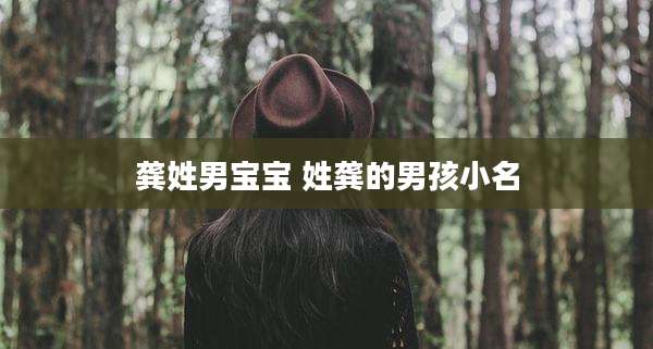 龚姓男宝宝 姓龚的男孩小名