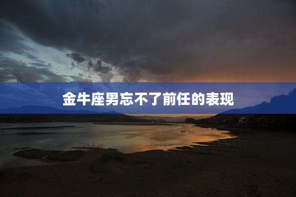 金牛座男忘不了前任的表现