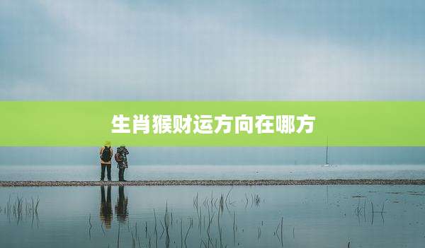 生肖猴财运方向在哪方