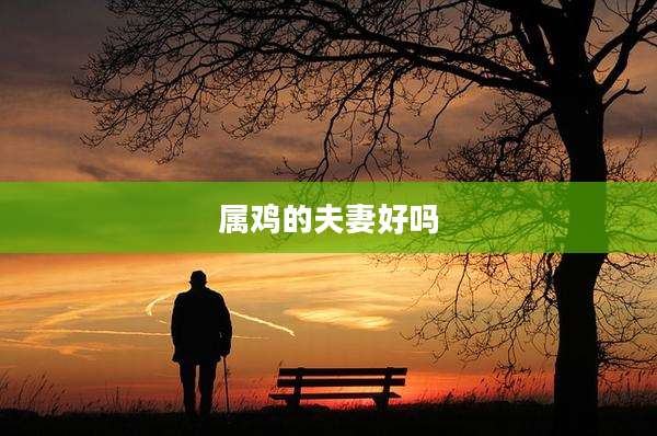 属鸡的夫妻好吗