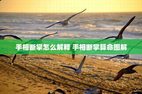 手相断掌怎么解释 手相断掌算命图解