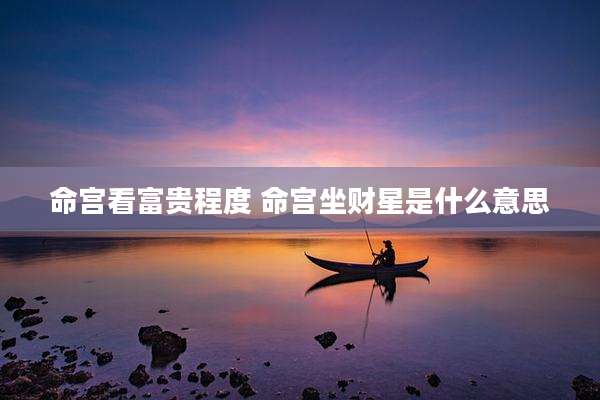 命宫看富贵程度 命宫坐财星是什么意思