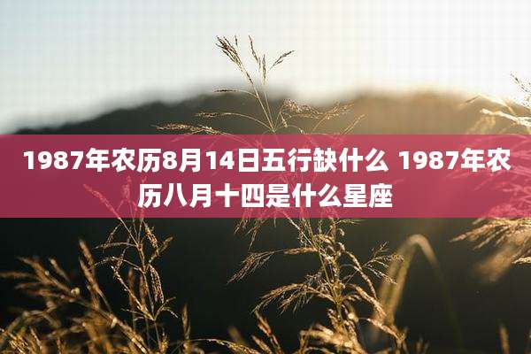 1987年农历8月14日五行缺什么 1987年农历八月十四是什么星座
