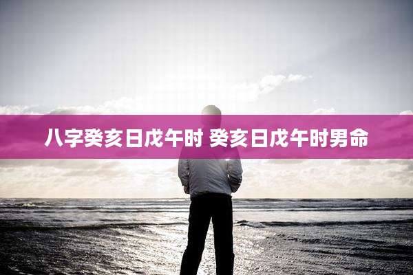 八字癸亥日戊午时 癸亥日戊午时男命