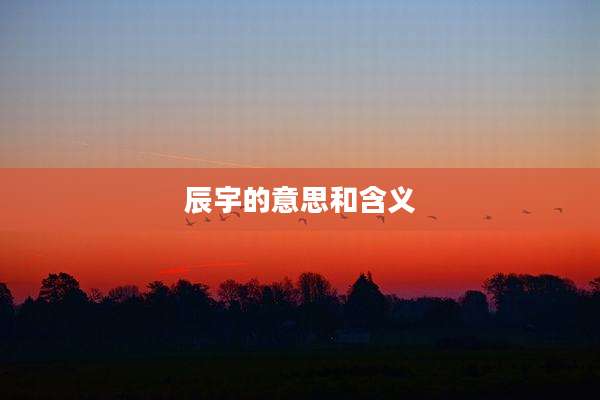辰宇的意思和含义