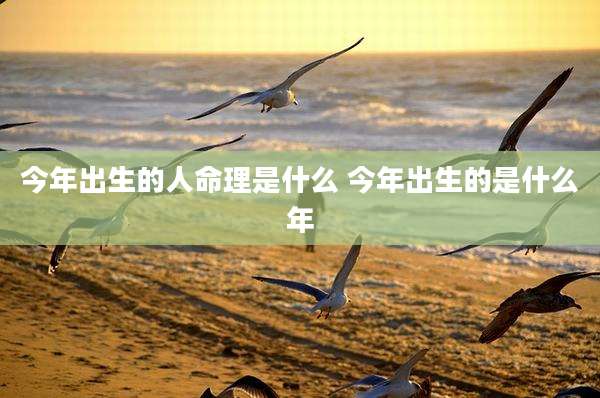 今年出生的人命理是什么 今年出生的是什么年