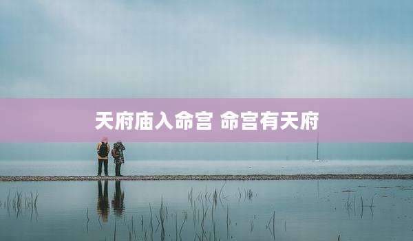 天府庙入命宫 命宫有天府