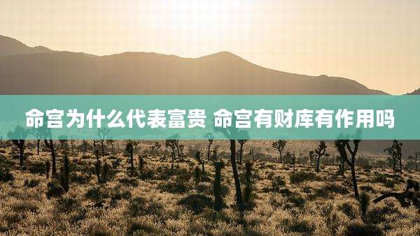 命宫为什么代表富贵 命宫有财库有作用吗