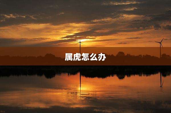 属虎怎么办