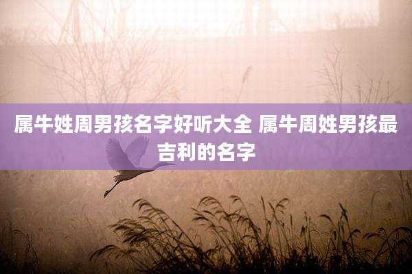 属牛姓周男孩名字好听大全 属牛周姓男孩最吉利的名字