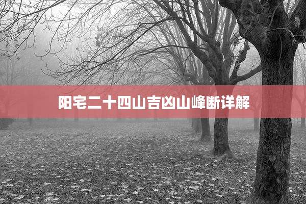 阳宅二十四山吉凶山峰断详解