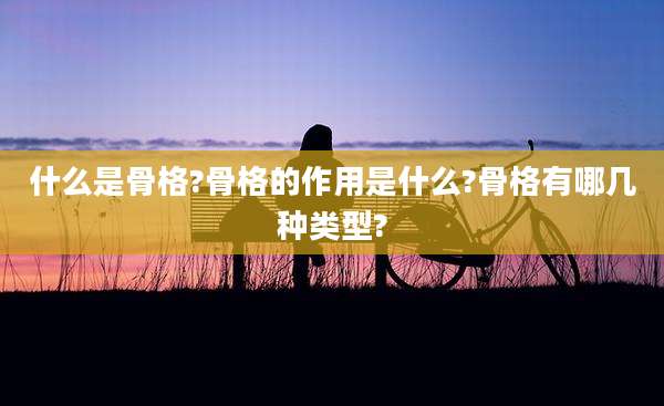 什么是骨格?骨格的作用是什么?骨格有哪几种类型?