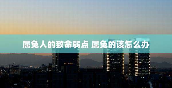 属兔人的致命弱点 属兔的该怎么办