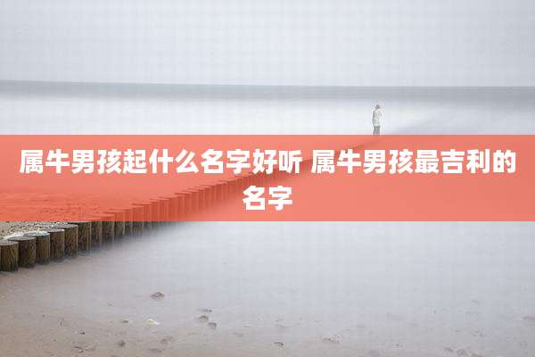 属牛男孩起什么名字好听 属牛男孩最吉利的名字