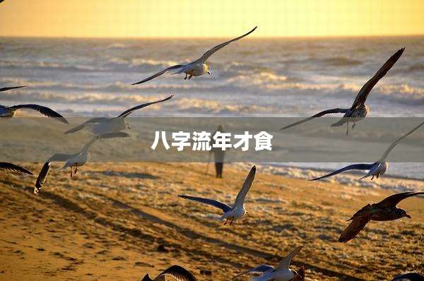 八字流年才食