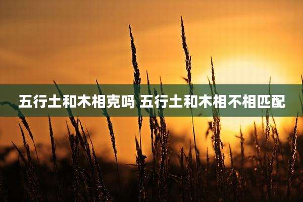 五行土和木相克吗 五行土和木相不相匹配