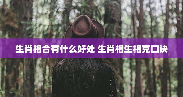 生肖相合有什么好处 生肖相生相克口诀