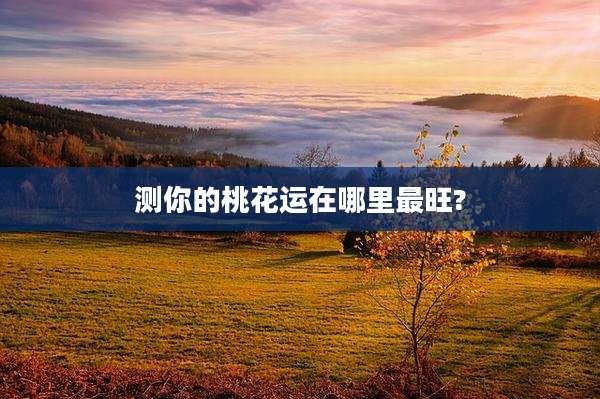 测你的桃花运在哪里最旺?