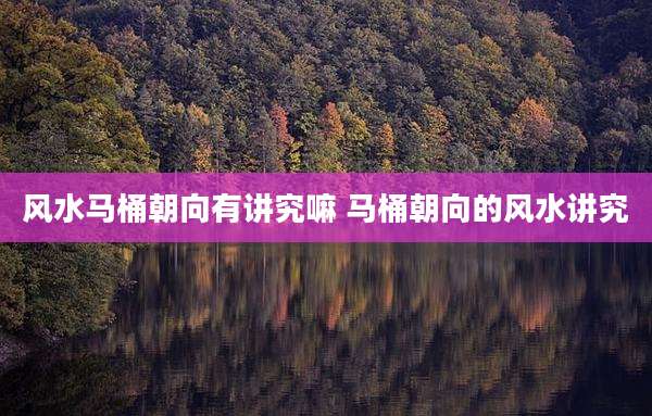 风水马桶朝向有讲究嘛 马桶朝向的风水讲究