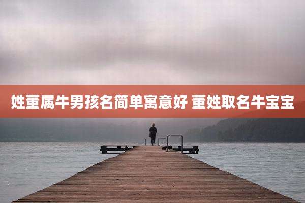 姓董属牛男孩名简单寓意好 董姓取名牛宝宝