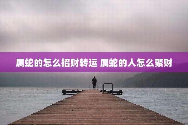 属蛇的怎么招财转运 属蛇的人怎么聚财