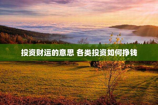 投资财运的意思 各类投资如何挣钱