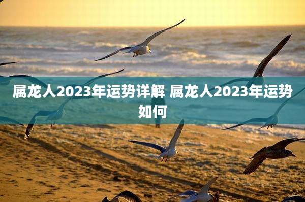 属龙人2023年运势详解 属龙人2023年运势如何