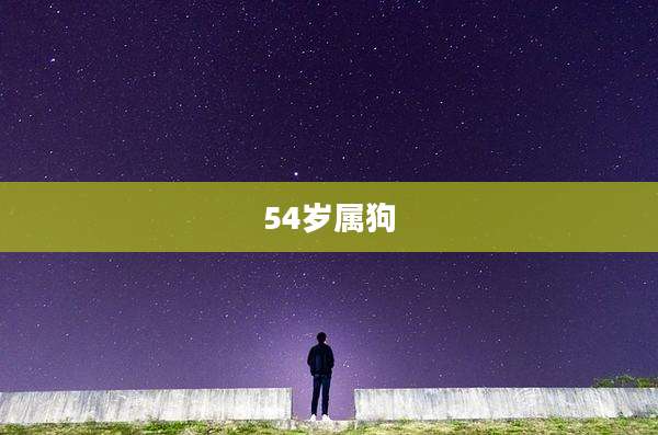 54岁属狗